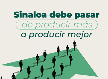 Sinaloa debe pasar de producir más a producir mejor