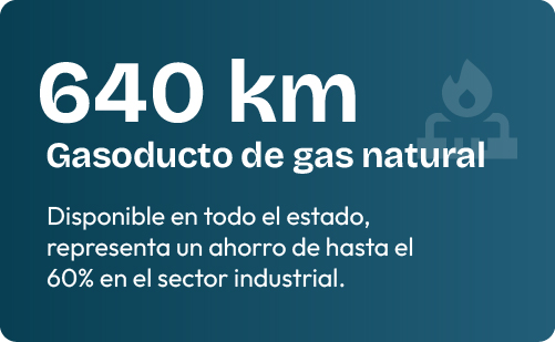 HOME - Carrusel Datos_1